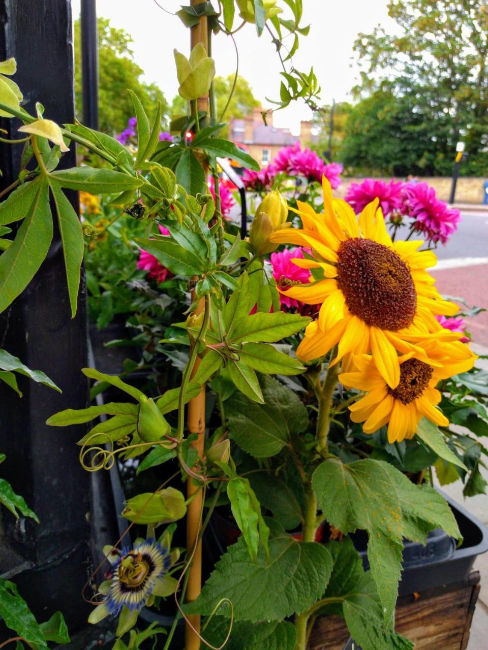 Cambridge Farmers Outlet Apartament Zewnętrze zdjęcie